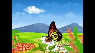Butterfly song malayalam