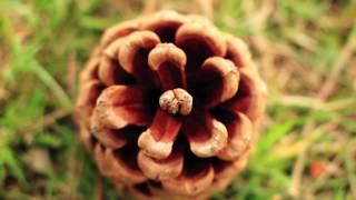 Exercise 3: Mindfulness of Sound