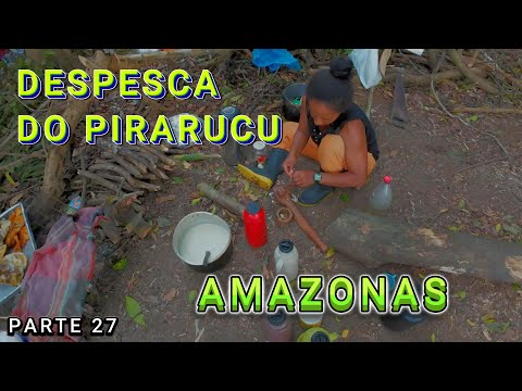 BERKEMAH DI LAGO DO ANZOL - PIRARUCU DESPESCA - VIDEO 27