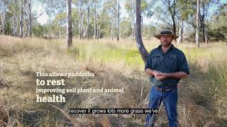 Rotational grazing