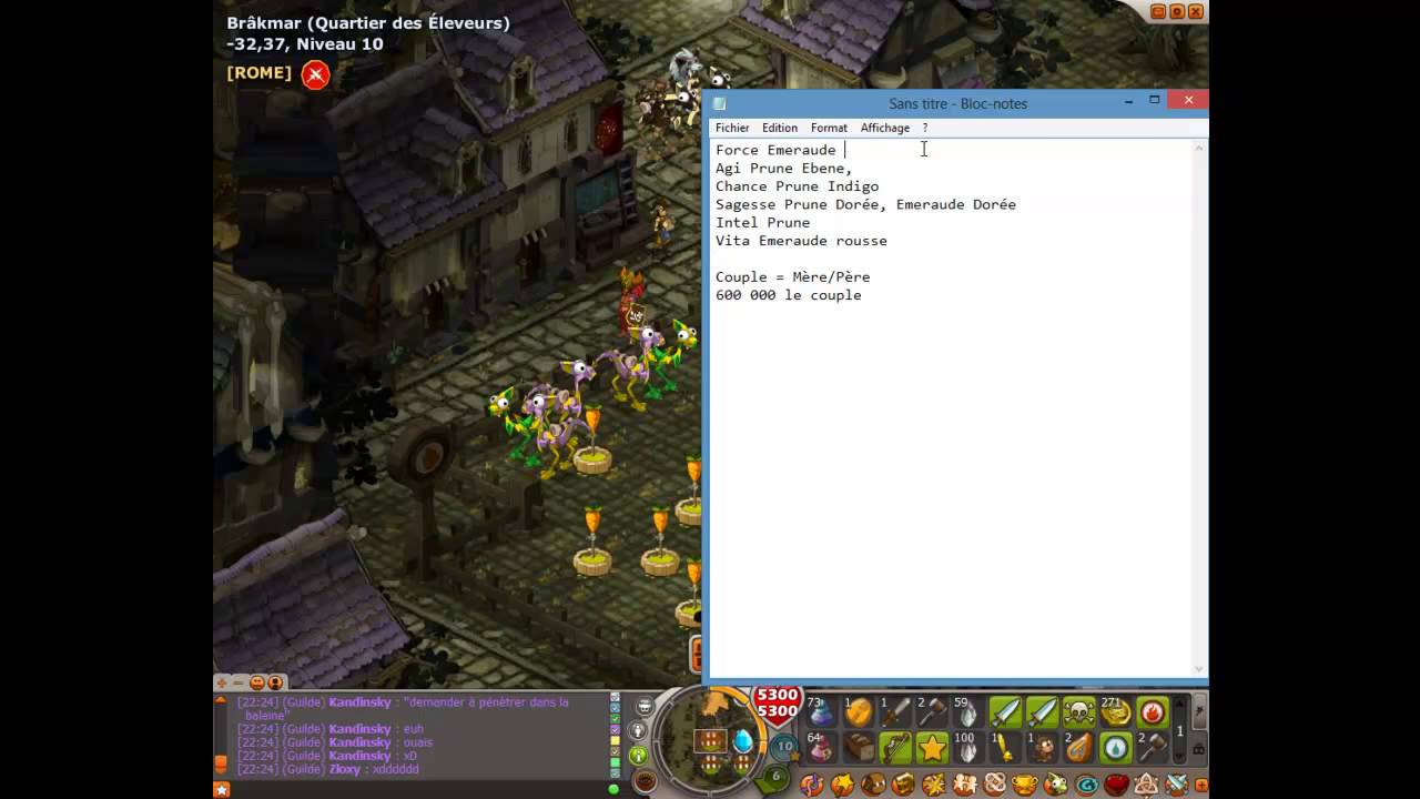 comment investir dofus