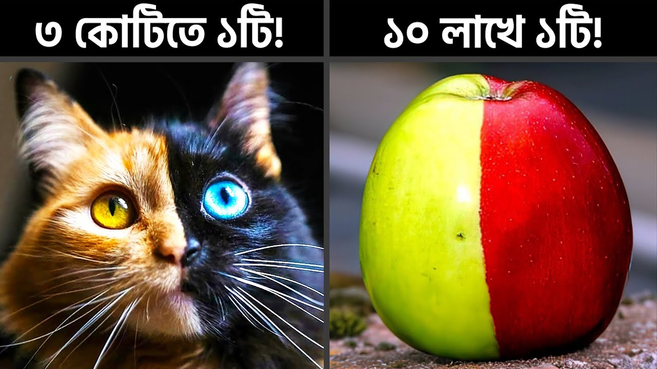 প্রকৃতির এ কেমন নির্ভুল ভুল!? Anomalies of Nature @pinikpi - YouTube