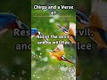 Chirps and a Verse 67