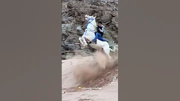 التحكم وروح المغامره عند سعد ماشاء الله عليه 