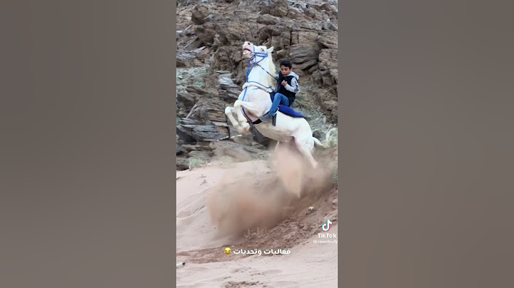التحكم وروح المغامره عند سعد ماشاء الله عليه😍😍👏🏻🐎