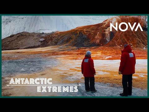 Video: Bloody Falls. Antarctica - Alternative View