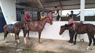 PRIMEIRO DIA MONTANDO NO POTRO DE FRANK