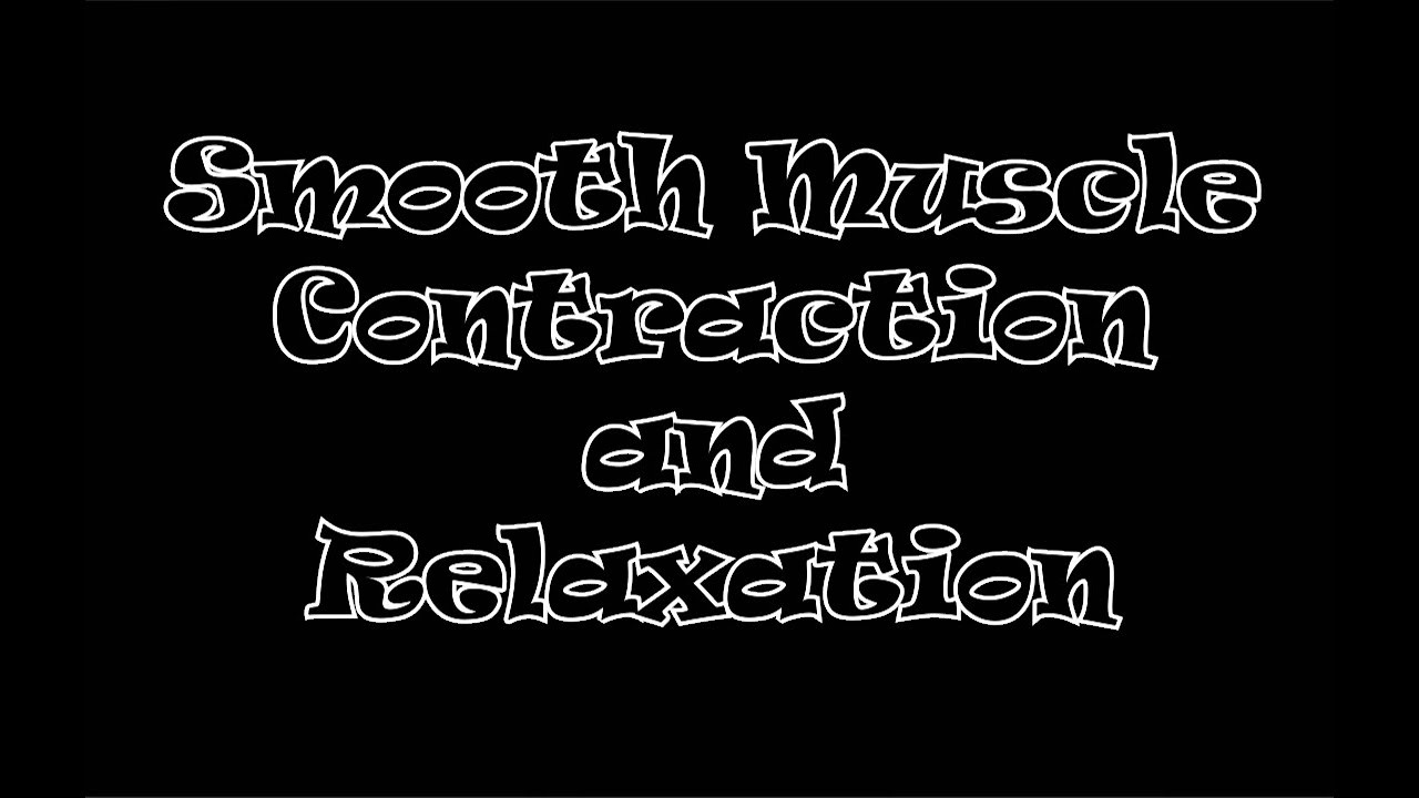 Smooth Muscle Contraction/Relaxation - YouTube