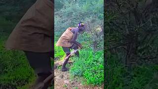 INACREDITÁVEL! Caçadores Capturam um Veado de Ouro Gigante na Selva #Veado #Caça #Natureza #Aventura screenshot 3