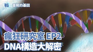 DNA構造大解密【瘋狂研究室】＿EP02 