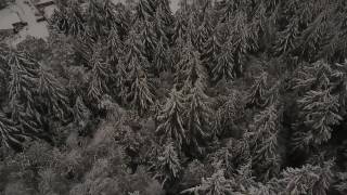 Snow in Gig Harbor
