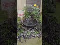 Use it as a Water Feature, Urli, or Bird Bath #stonefountain #waterfeature #homedecor