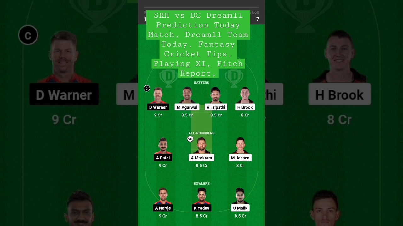 SRH vs DC Dream11 Prediction Today Match, Dream11 Team Today, Fantasy Cricket Tips, 
