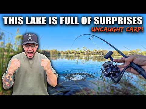 Carp Fishing a Park Lake For RARE Carp!