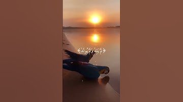 سورة الاخلاص  بصوت  الشيخ  فارس  عباد