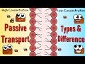 Cell Transport Mechanisms Quiz