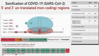 The Sound of the SARS-CoV-2 Genome: 5` and 3` untranslated regions by Mark Temple 470 views 3 years ago 2 minutes, 6 seconds