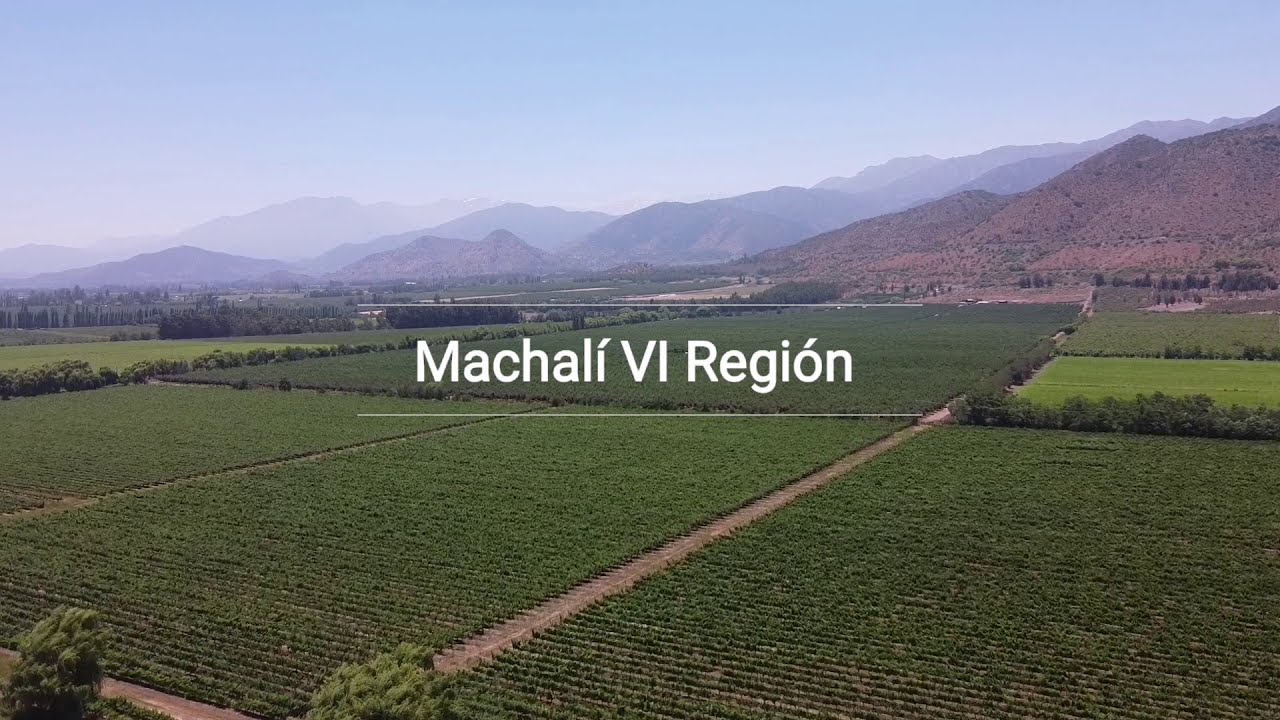 Machalí VI Región