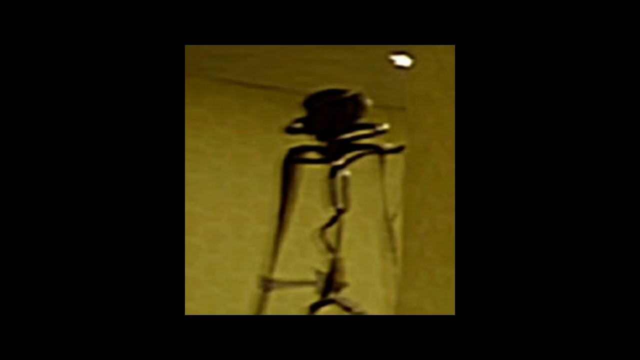 Bacteria (Backrooms) Sings Bad Apple!