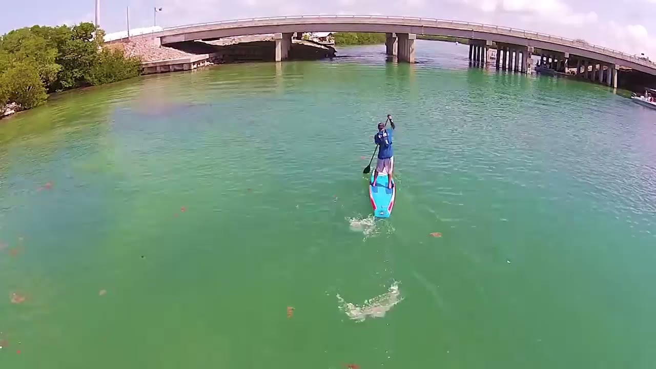 Paddle Our Way | PADDLE! the Florida Keys