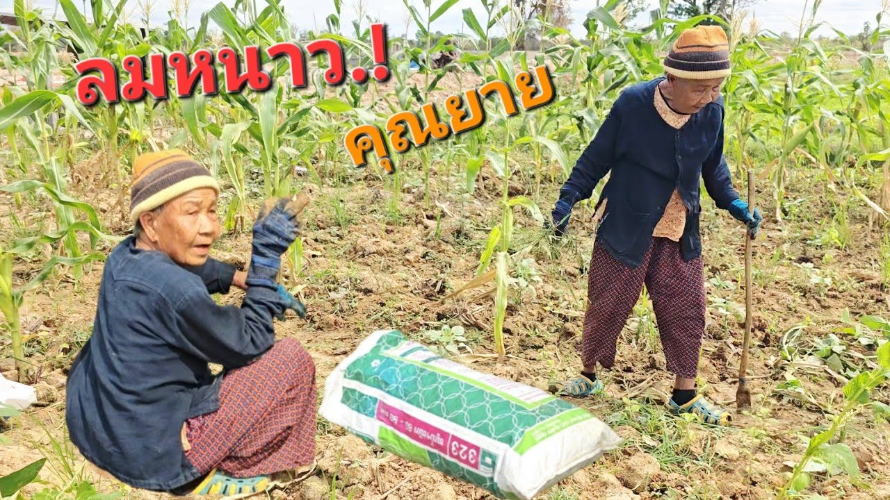 ลมหนาว- อากาศเย็น.