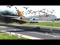 A380 Got Bird Strike Two Times Upon Landing | X-plane 11