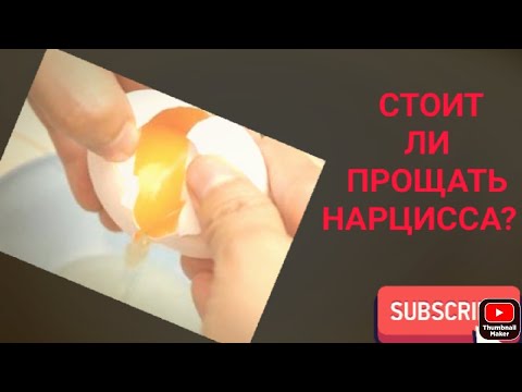 Стоит ли прощать Нарцисса?