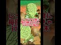 過去一酷いレイド特攻キャラクター紹介#ドラゴンボール #ドラゴンボールレジェンズ #dragonball #dragonballlegends