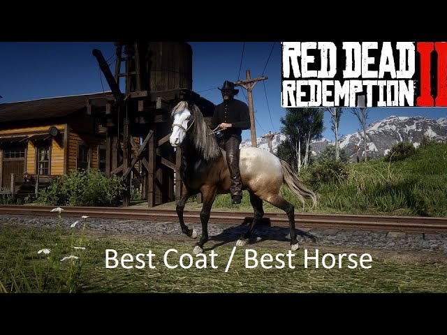 Red Dead Redemption 2 survival guide: Cores, customisation, clothes,  hunting, horses and more