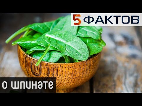 ⭐️ 5 фактов о ШПИНАТЕ и его СВОЙСТВАХ