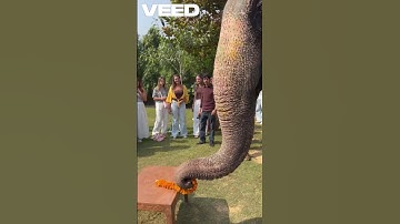 🔥 Earn Crypto by Posting Content? Welcome to Hive Ecosystem!