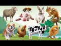 Bustling animal world sounds around us bee sheep chicken rabbit pig goat squirrel dog cow
