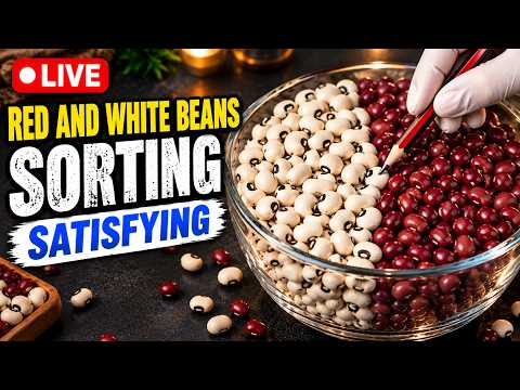 Sorting Red & White Beans | So Satisfying!