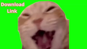 Green Screen Laughing Cat Meme