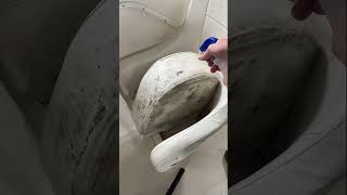 Five years of mold and mildew. Gone in seconds #boatrenovation #cleanboating #boatbuilder