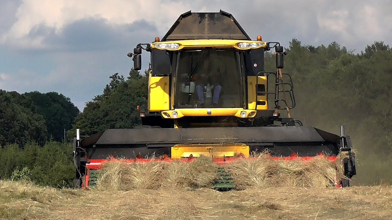 Žně 2018 - Dvoufázová sklizeň kostřavy |Podorlické ZD Ohnišov| //Full HD// *50fps*