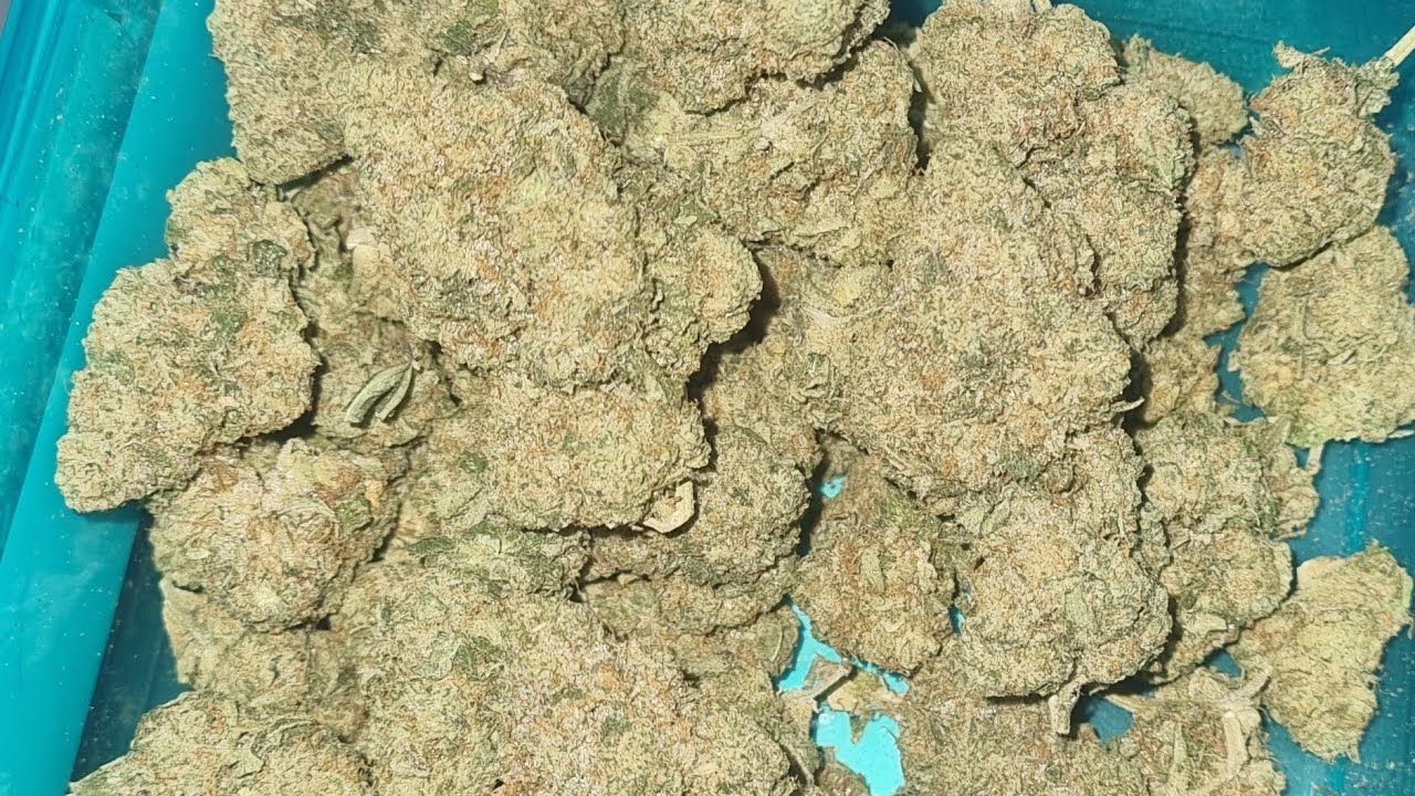 zowahh steel city labs review rsosos