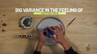 Smart Stoner | Microdosing Explained