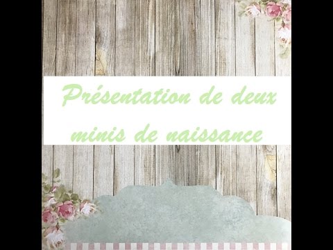 Présentation de 2 albums naissance hauli hauli