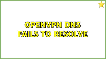 OpenVPN DNS Fails to Resolve (2 Solutions!!)