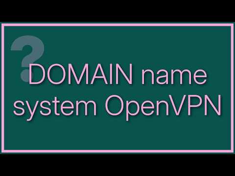 OpenVPN DNS Fails to Resolve (2 Solutions!!)