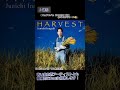 過ち/稲垣潤一&amp;山本彩
