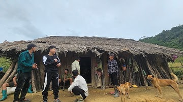 Trở lại với đán đầu 3 hoảng hốt khi bị lạc trong rừng | Nguyễn Tất Thắng 