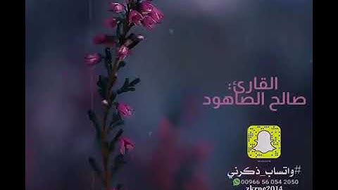 تلاوة خاشعة.. القارئ: صالح الصاهود.. #واتساب_ذكرني..