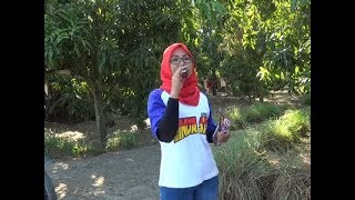 Mangan Ceplik Sewu Voc Putri Maha Dewi  Manuk Dangdut Linda Sari karangjaya September 2017