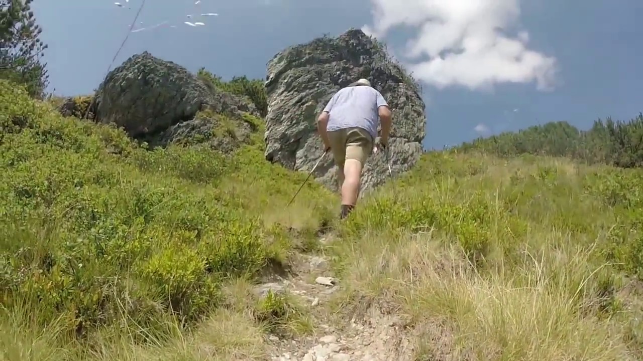 Wanderung auf den Lackenkogel- Ederbauer, Flachau, Wanderurlaub am Bauernhof