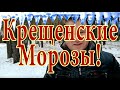 Как птицы лохонулись или сокровища души на Крещение!