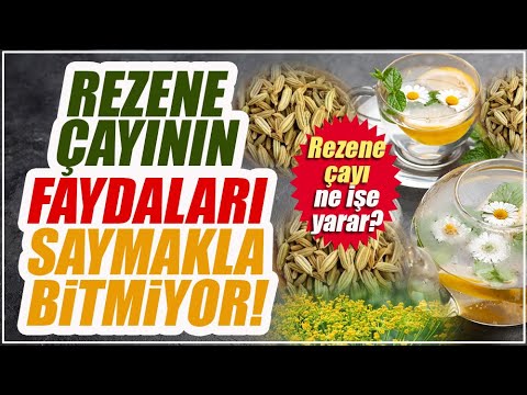 Rezene çayının faydaları nelerdir? Rezene çayı ne işe yarar?