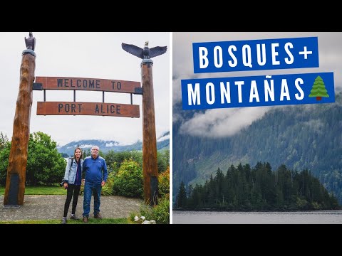 Video: Cele Mai Bune Drumeții și Trasee Pitorești în Jurul Insulei Vancouver și Vancouver
