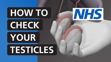 How to check your testicles | NHS